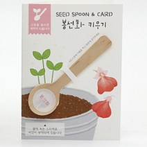 봉선화꽃 봉선화 키우기 꽃씨 봄파종 집에서키우기쉬운식물 씨드스푼 6P