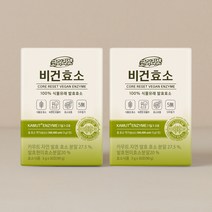 뉴오리진 코어리셋 비건 효소 30포 X 2박스(인절미맛), 2개, 단품