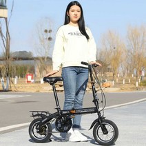자전거 접이식 미니벨로자전거 벨로 라인 접는 차박, 16인치 블랙