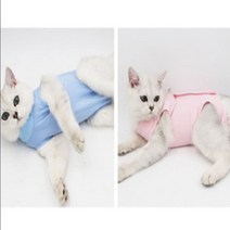 켈리몰 강아지 고양이 스판 중성화 수술복 옷 그루밍방지 환묘옷 올인원애견의류 0-8324ea, S_스카이바이올렛