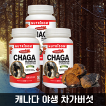 뉴트리돔 차가버섯 캐나다산 야생재배 120베지캡슐X 3병묶음, 3병