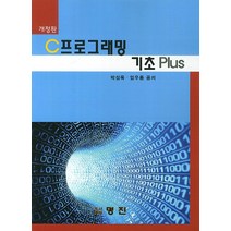 C프로그래밍 기초 Plus, 명진