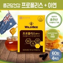 호주산 프로폴리스 캡슐 플라보노이드 아연 셀렌 항산화 영양제 PROPOLIS 비프로폴리스 추출물 알약 종근당 건강기능식품, 2세트, 와일드 프로폴리스 플러스 60회 2박스