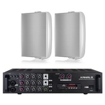 TANNOY DVS4 음식점 디저트 카페스피커 RE20TD2 흰색