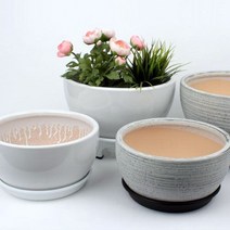 도희네화분 낮은화분 다육이화분, 낮은화분화이트(대)기본받침형