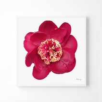 풍수아트 10.M 레드 | 캔버스액자 중형12호 [50x50cm]