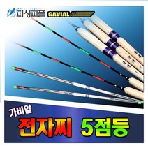 피싱피플 가비알 5점등 민물전자찌 내림찌 중층찌 붕어찌 민물, 2호