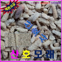 수족관여과사-장식재모래 -산호사(산호모래) 10kg, 1~3mm