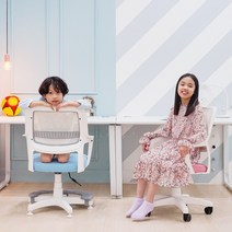 지엠퍼니처 에듀레스트 초등학생 어린이 컴퓨터 책상의자, A. 퍼플 (하단 이동형 캐스터) EDR, 4. 발받침대+무회전중심봉 변경