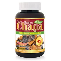 차가 120캡슐 베타글루칸 4배 농축 차가버섯 1600mg 허바 캐나다, 120정, 2개