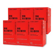 케어가든 파워 보스웰리아, 6개, 31.5g