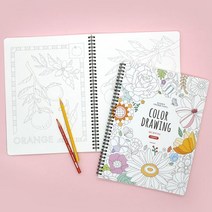 힐링 컬러드로잉 쉬운버전 2EA 2개 스케치북 캘리그라피북