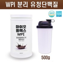 WPI 분리 유청 단백질 류신 분말 가루 BCAA 우유 아미노산 근육 헬스 단백질보충제 운동전후 웨이 프로틴 파우더 쉐이크 미국산 포대유청단백질, 1set, 500g