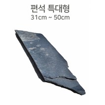 편석 특대형 Size 31cm - 50cm급 1개/ 판석 납작돌 테라리움 거북이어항 수초