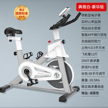 실내 헬스자전거 피트니스바이크 스피닝 헬스사이클, 엘레강스-마그네틱 디럭스