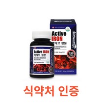 네추럴라이즈 액티브 철분 100캡슐 철분 영양제 철분 보충제 헤모그로빈 비헴철 임산부 철분 청소년 가임기 여성 철분제 캐나다 대용량 영양제 온가족 에너지생성 필수영양소 철분제, 1통, 100캡슐X13개