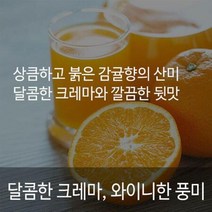 886-5 코스타리카따라쥬500g, 상세페이지 참조, 상세페이지 참조