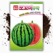 씨앗팜 쪼꼬미 수박 씨앗 종자 10립 애플수박 씨앗, 1개