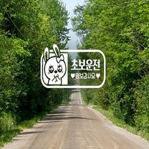 차량용스티커 자동차스티커 초보 창문스티커 화이트