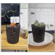 원예 교육 화분 만들기 키트 교육 DIY 창의 교구 방과후 활동 체험학습, 노랑, 바질