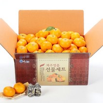 올탑농원 제주 노지감귤 실중량 4.5kg 중대과, 1개