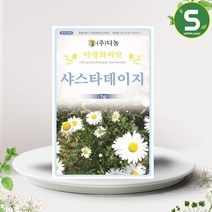 샤스타데이지 씨앗 1g 꽃씨앗 꽃씨 종자, 단품