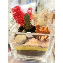 집콕놀이 당일발송 / 집콕놀이 테라리움 테라리움만들기 식물만들기 만들기 키트 선물/ 학교단체수업 유치원단체수업 심리상담수업 방과후수업/홈가드닝 인테리어 다육이, E.아기거북