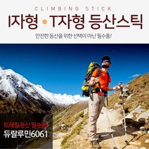 듀랄루민 6061등산스틱, 이레컴퍼니 티자형스틱 블랙
