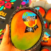 페루 고당도 열대과일 애플망고 과일선물세트 40대 50대 60대 부모님 어르신 명절 선물 수입과일, 2kg(4과수)