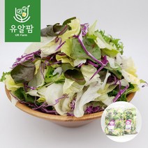의령농산 유알팜 당일채소 당일제조 당일발송 샐러드1kg 골라담기 9종, 03_양배추 적채 샐러드 1kg