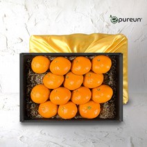 이과일이다 [이푸른] 블랙라벨 레드향 선물세트 3kg(11~14)