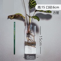 꽃병어항 구피 벽장식 플래티 아보카도 아크릴 벽걸이 어항 워터레터스 카디날테트라 개운죽 애완물고기 레드스워드, 사각파이프병+헴펜싱