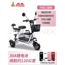세발전기자전거 삼륜전기자전거 노인전동차 어르신 바이크105839, 48V, 3 인승/30A/내구 약 120km