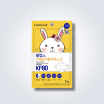 웰킵스 미세먼지황사마스크 KF80 10매 소형 일회용 개별포장, KF80 소형 10개입