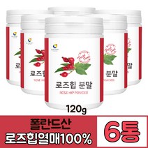 로즈힙 추출 분말 로즈힙 100프로 추출물 가루