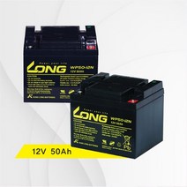 Long 케어라인 배터리 12V 50Ah 2개1세트, 출장설치 서울경기