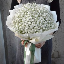안개꽃다발 자나장미꽃다발 생화 여자친구선물 졸업꽃다발 꽃은언제나옳다