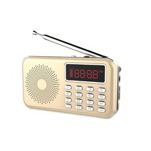 전자성경 하늘소리 (16G) 효도 FM 라디오 소마코리아 휴대용 등산용 어르신 선물용, 2 골드 Gold Y-619