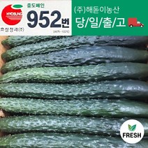 <해돋이농산> 국산 가시오이 청오이 못난이오이 3kg 5kg 내외, 2.7kg ~ 3kg, 1개” class=”wr-img”></a></div></p></div></p></div></p></div><div class=