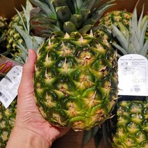 허니 미니 파인애플 (개당 약1.1kg), 2개