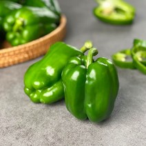 국내산 피망 청피망 10kg 5kg 3kg 2kg 1kg내외 빛고을장터, 1box, 청피망 5kg내외