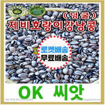 [OK씨앗] [제비호랑이강낭콩(덩굴)] 강낭콩씨앗 종자(오케이씨앗), 30g
