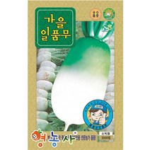 가을 일품무 씨앗 2000립, 1개