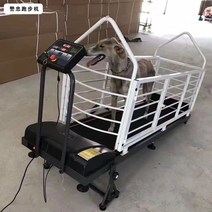 강아지 수중 재활 런닝머신 훈련 트레드밀 가드레일, A