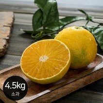 [제주웅이농장] 제주 황금향 고품격 감귤 신선한 달콤함 산지직송 가정용 4.5kg 소과, 제품선택:황금향_4.5kg 소과_가정용