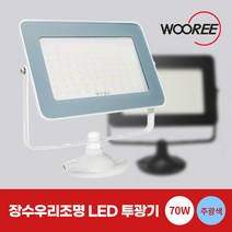 장수 LED 투광기 투광등 30W 50W 70W 간판 간판등 조명, 장수 투광등 화이트 70W 주광색(흰빛)