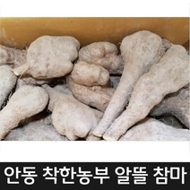 안동참마 알뜰 10키로(큰크기 울퉁불퉁)한시적 할인합니다