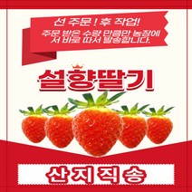 산지직송 고당도 설향딸기 750g + 750g 1.5kg (70구), 750g * 2팩 (1.5kg)