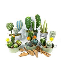 금전수 녹보수 인조대나무 성묘조화 개업식 가게오픈 화분 인공 즙이 많은 식물 small fake cactus 몰려드는 가시 공 거품 꽃 데스크탑 트리 분기 홈 정원 사무실 장식, 펜터우 12cm