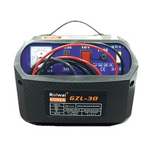 로웰 로웰 차량용 배터리 충전기 12V/24V 변환 GZL-30P